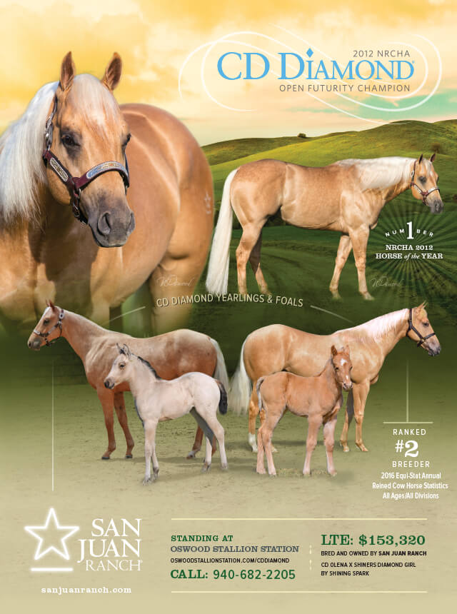 San Juan Ranch Performance Quarter Horses