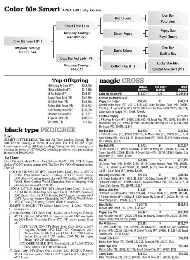 San Juan Ranch Performance Quarter Horses