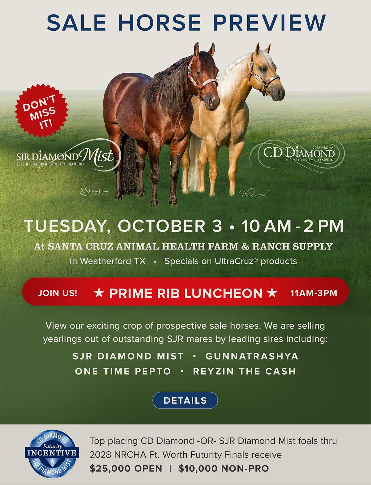 quarterhorsesforsale.html