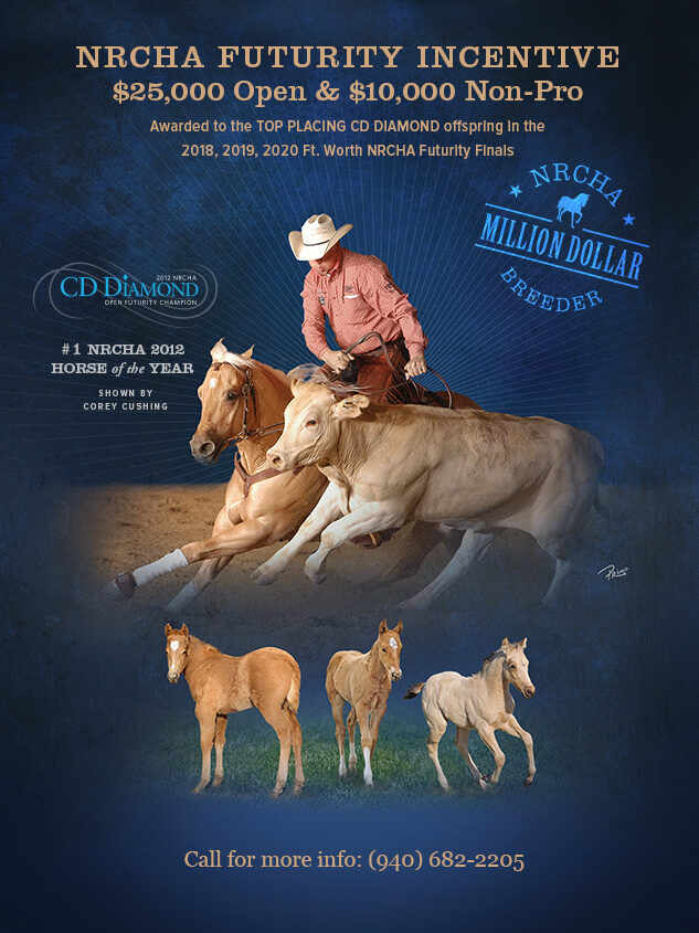 San Juan Ranch Performance Quarter Horses