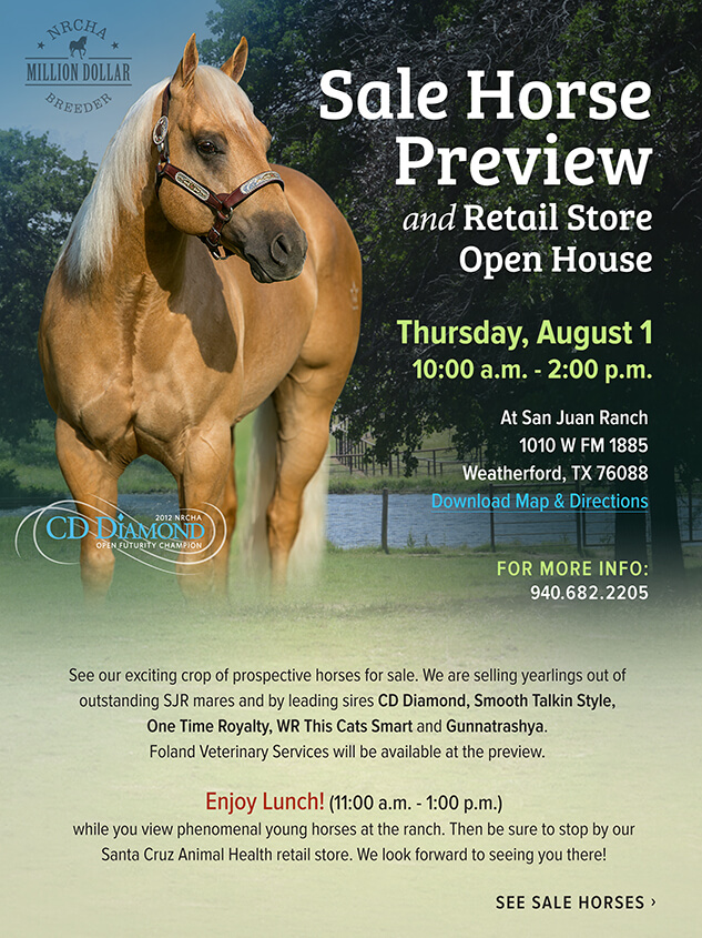 San Juan Ranch Performance Quarter Horses