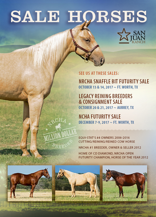 San Juan Ranch Performance Quarter Horses