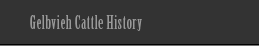 Gelbvieh History Navi