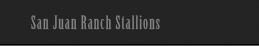 San Juan Ranch Stallions