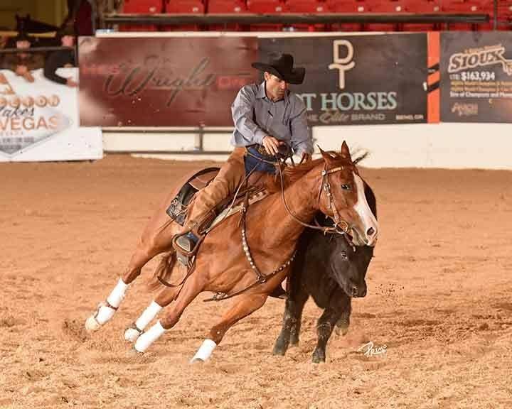 SJR Reygun 2018 NRCHA Hackamore top 5!