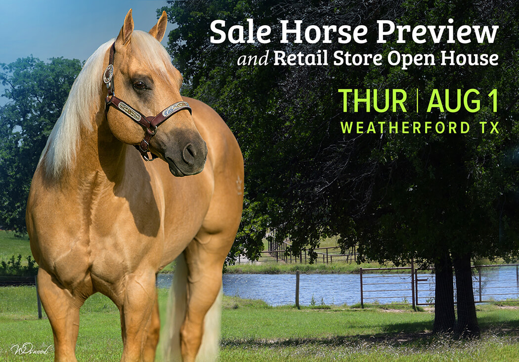Sale Horse Preview August 1st!