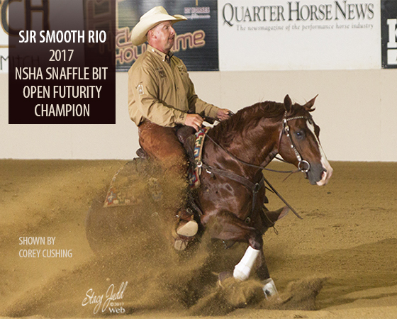 Smooth Rio wins NSHA Snaffle Bit Open Futurity