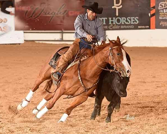 SJR Reygun, NRCHA Stakes Open Champion