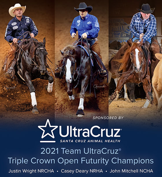 Kalpowar Quarter Horses Celebration of Champions - National Reined Cow  Horse Association