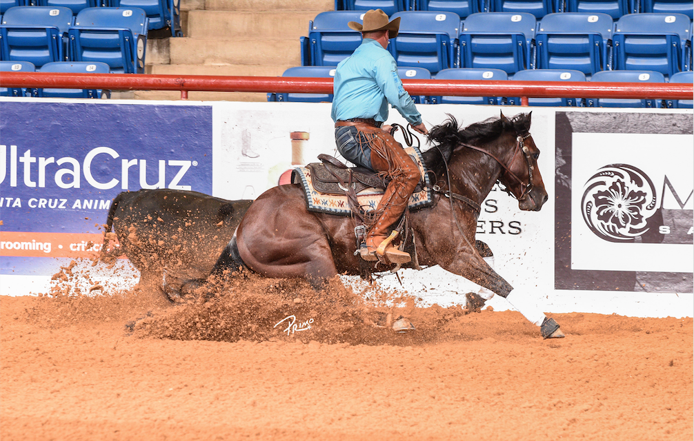 SJR Diamond Mist wins 2018 NRCHA Snaffle Bit Open Futurity Open!