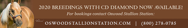 2019 Breedings for CD Diamond now available, contact Oswood Stallion Station for bookings.