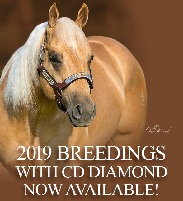 2019 Breedings for CD Diamond now available
