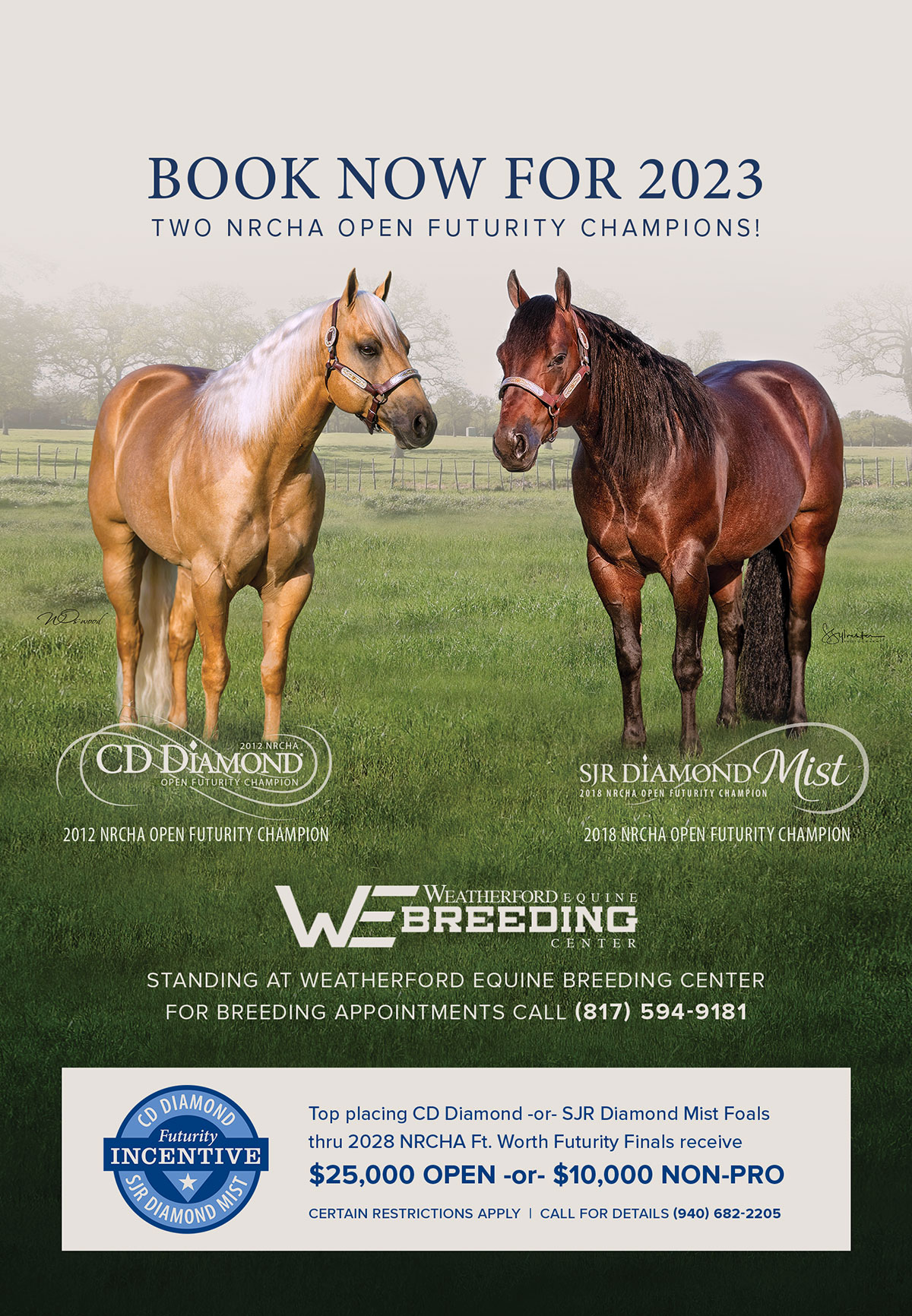 quarterhorsesforsale.html