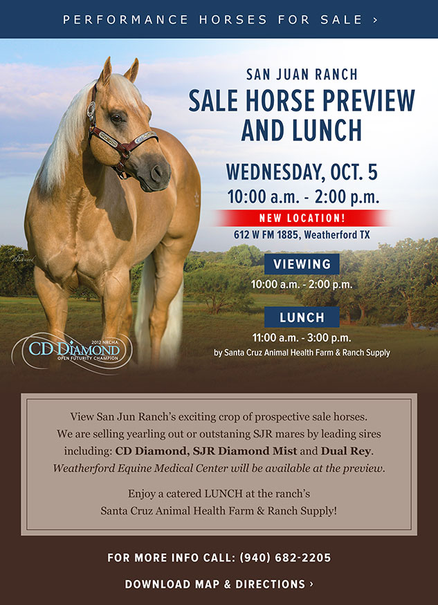 quarterhorsesforsale.html