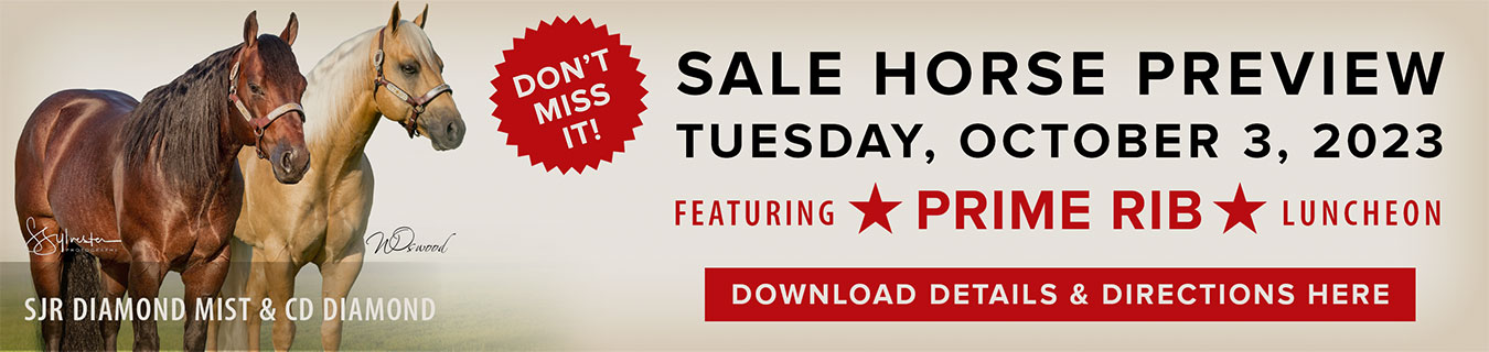 sale horse preview banner